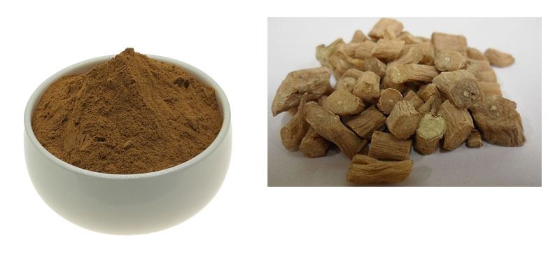 product-1-1 Achyranthes Bidentata Extract Powder1
